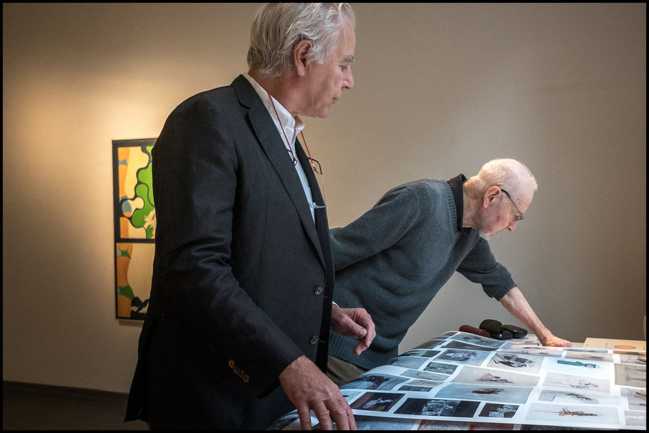 Robert Frank, Don't Blink