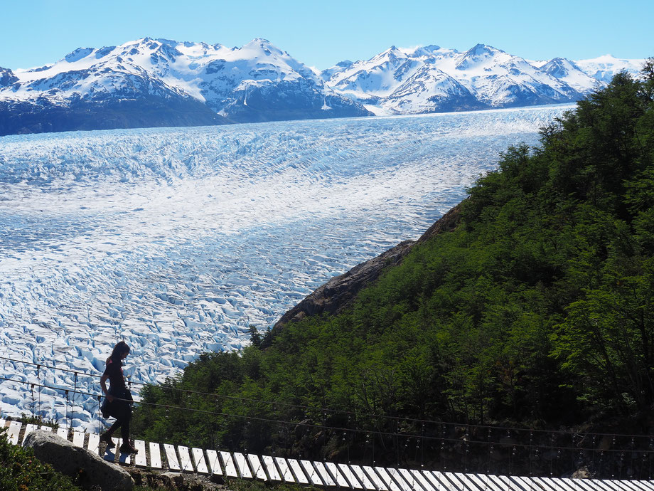 Wunderschön: 3 Hängebrücken führen entlang des Grey Gletschers auf dem O-Trek in Torres del Paine