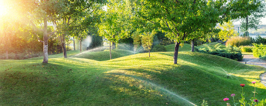 Bewässerungssystem Bewässerungssysteme Bewässerungsanlage automatische Bewässerung RainBird