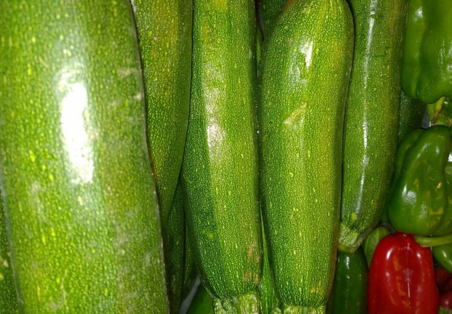 Zucchini,Courgette,Gemüse,Legumes,Vegetables,Martins-Kulinarium,Carvoeiro,Algarve,Portugal