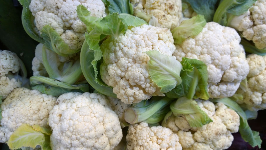 Blumenkohl, Couve-flor,Cauliflower,Gemüse,Legumes,Vegetables,Martins-Kulinarium,Carvoeiro,Algarve,Portugal