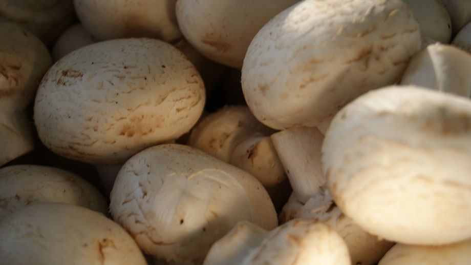 Champion,Campeão,Gemüse,Legumes,Vegetables,Martins-Kulinarium,Carvoeiro,Algarve,Portugal