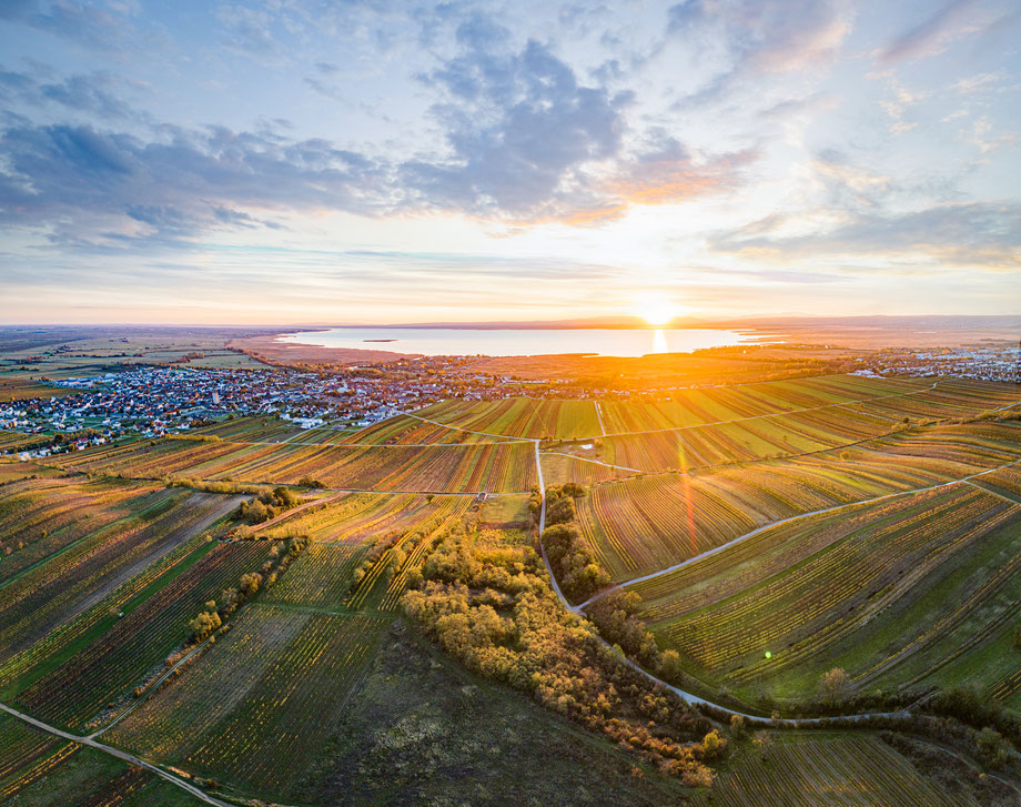 Sonnenuntergang mit Blick über Weingärten vom Ungerberg zum Neusiedlersee