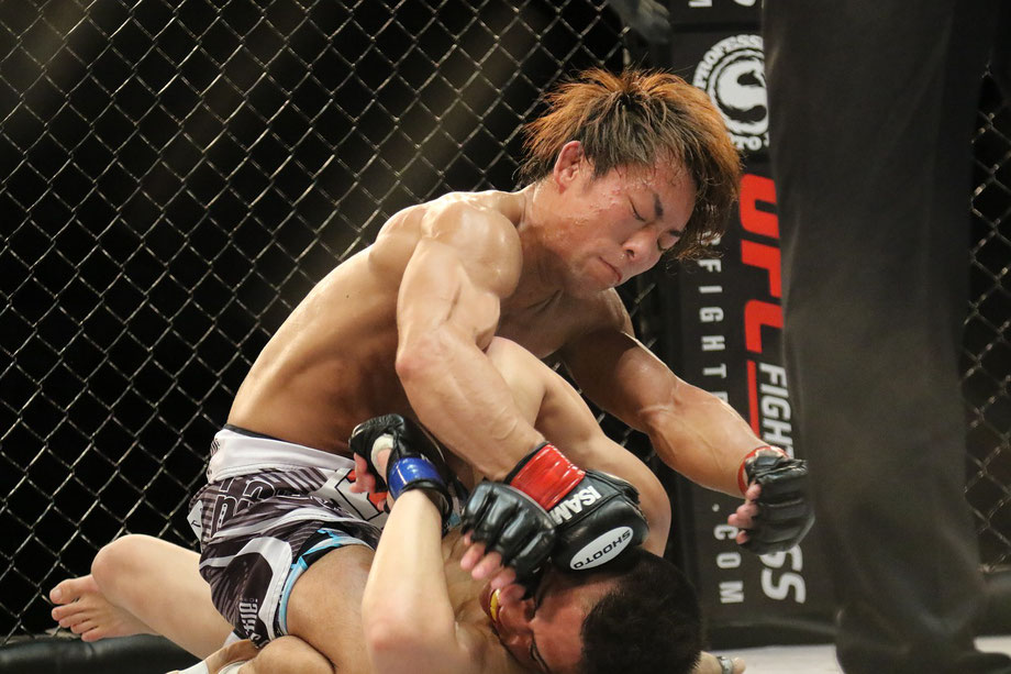 MMA Fight