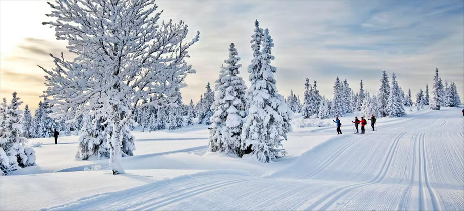 Ski-Langlauf Reisen   und Winter-Reisen nach Norwegen - Skandinavien mit einer großes Auswahl und Angeboten für Abfahrtsläufer, Snowboarder, Schneeschuhwanderer.
