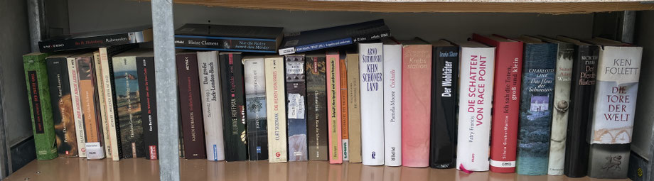 Bücherschrank innen, Bücher untere Reihe
