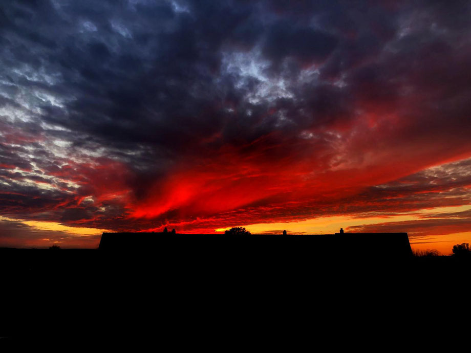 Fantastischer Sonnenuntergang - iPhone X - hoher Kontrast  Foto: Klaus Henneff