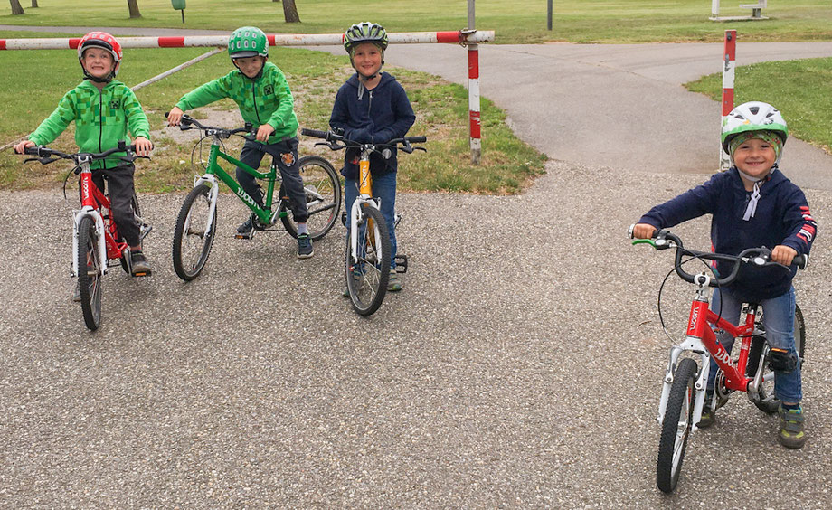 Noah, Nico, Janis und Simon