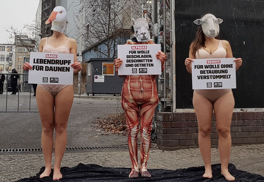 Aktivisten von Peta protestieren gegen die Ausbeutung von Tieren. Ihre Demonstrationsformen sind meist sehr öffentlichkeitswirksam. Quelle (Auch des Hintergrundbildes): Peta Deutschland. 