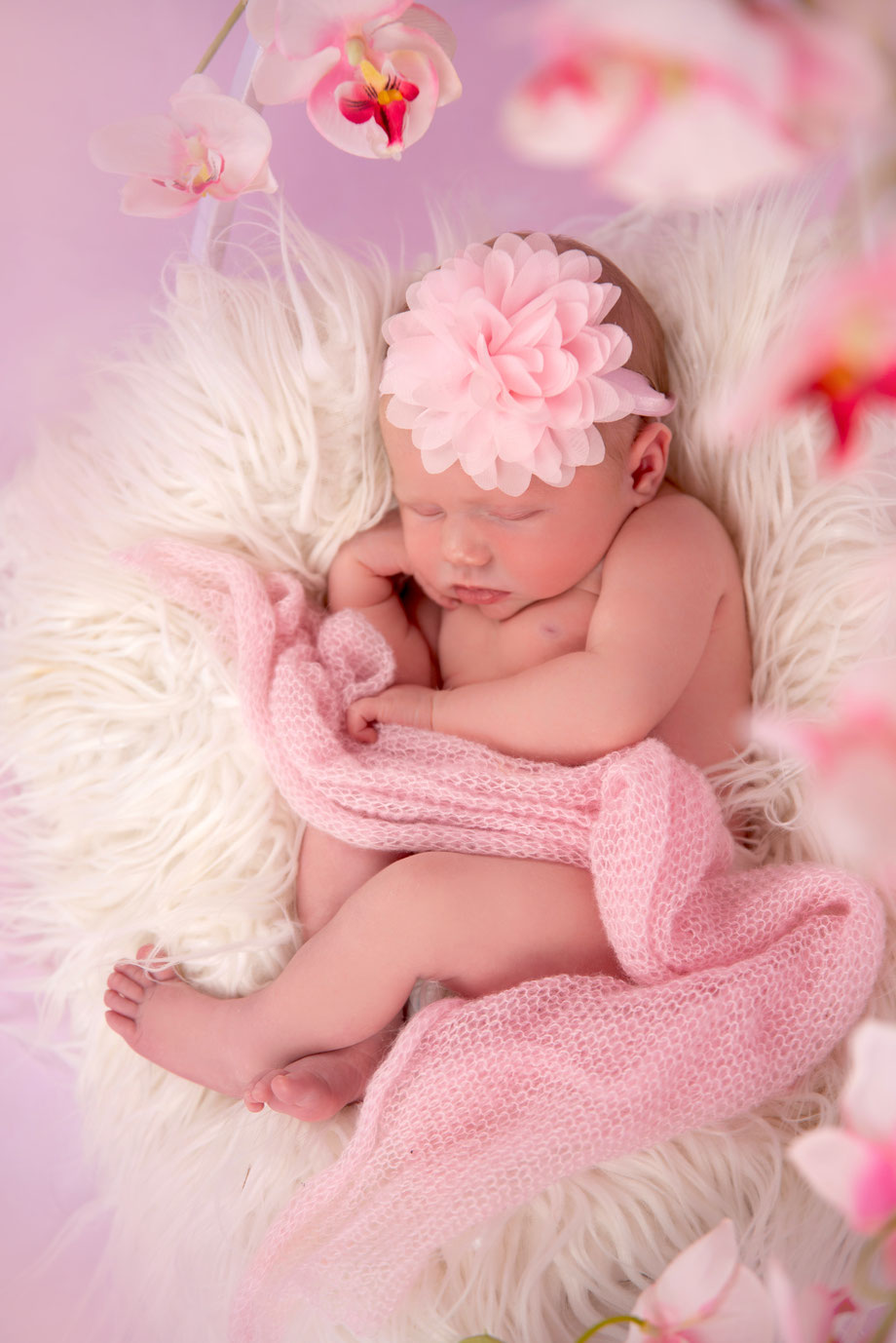 newbornshoot in roze