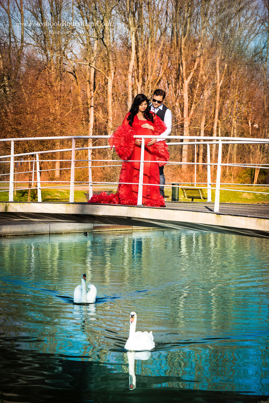 maternity shoot with swans