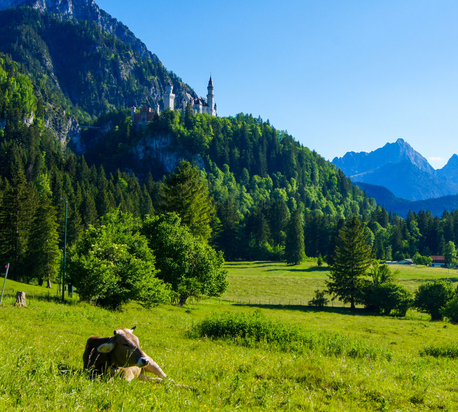 In der Bayrischen Alpenlandschaft entstehen BIO Produkte in höchster BAVARIER Qualität.