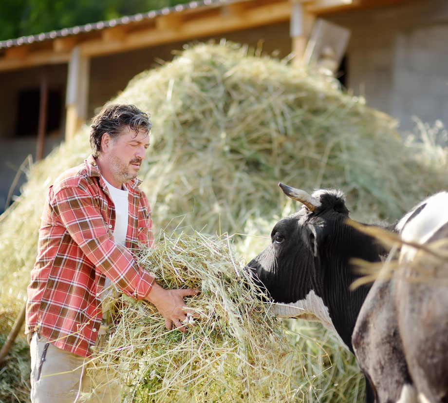Für die BAVARIER Landwirte ist Tierwohl selbstverständlich