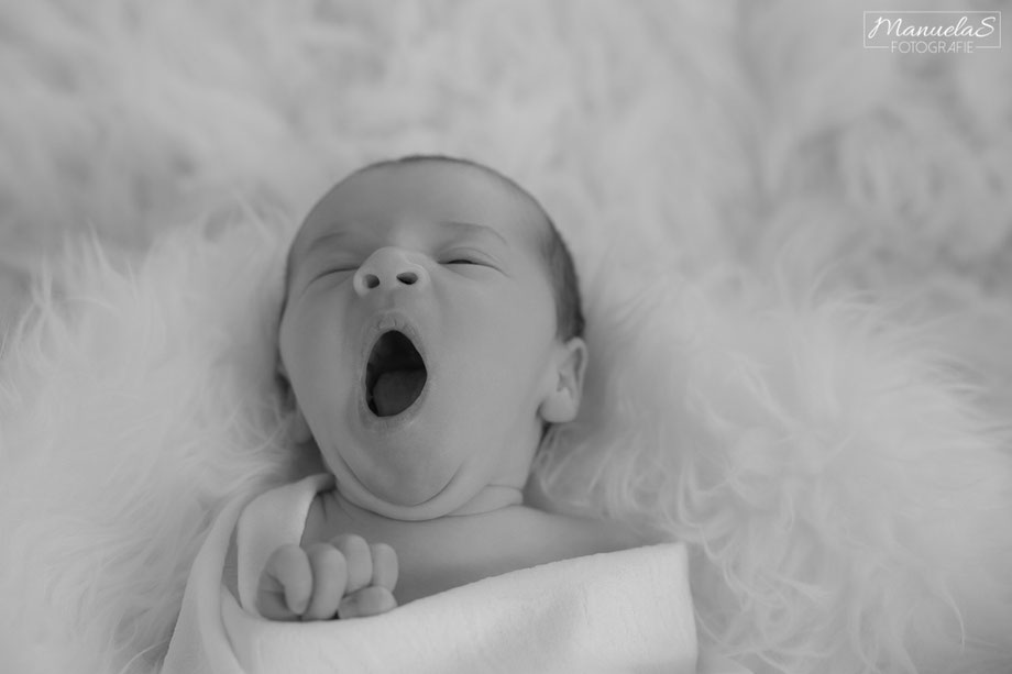 Newborn Fotograf Baby Deggendorf