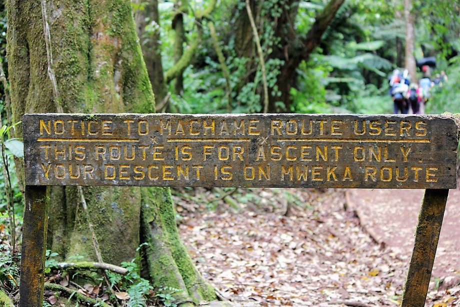 Machame Route Mount Kilimanjaro