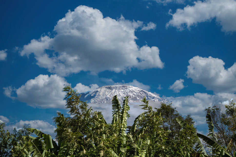 Bester Kilimanjaro Anbieter - Kilimanjaro Company