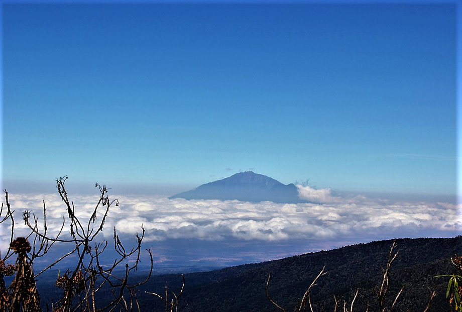 Mount Meru - Training for Mount Kilimanjaro