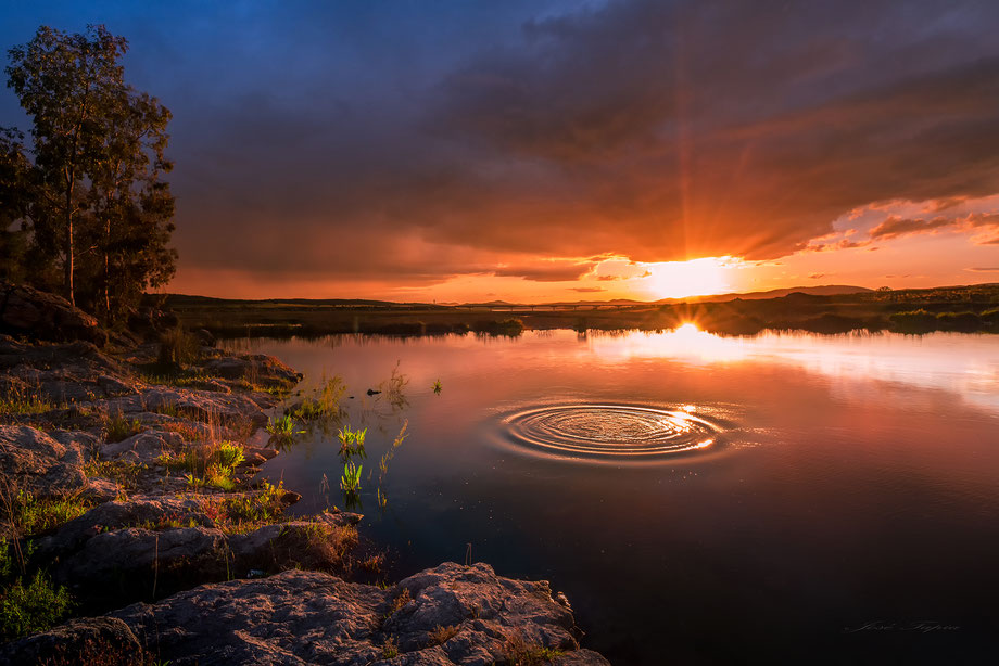 "TIME OF NATURE". A wetland in Castilla la Mancha at sunset, Biosphere Reserve, Spain.