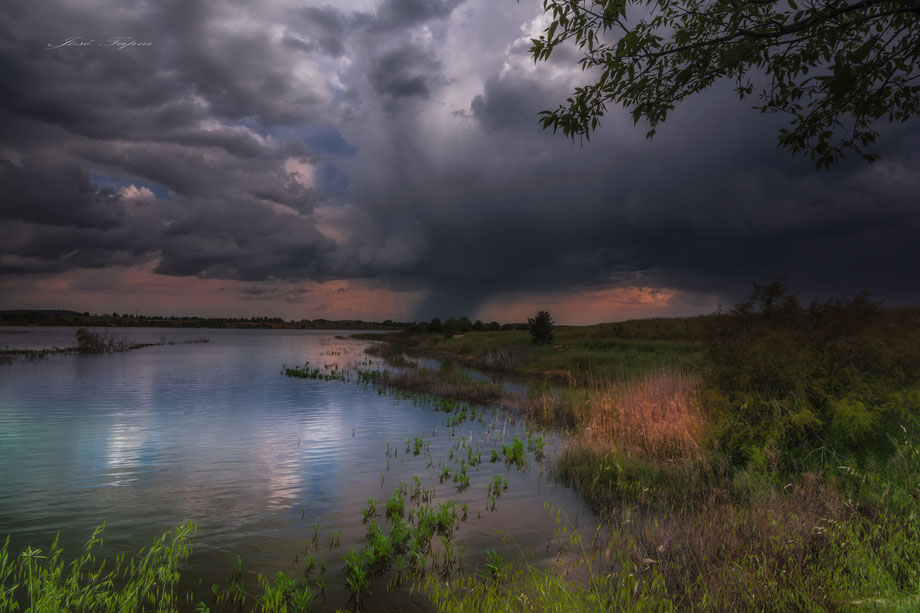                                                "TAKE IT BACK". In a wetland in Castilla la Mancha at sunset a stormy day, Spain.