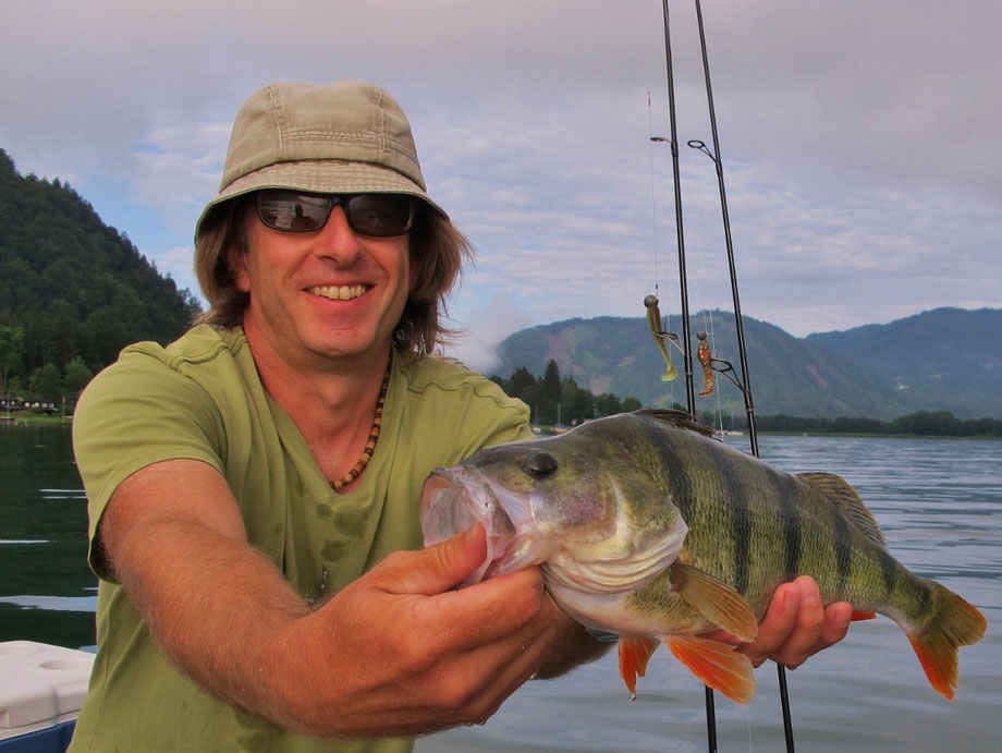 SUP fishing, Europe, Austria, Carinthia, Wörthersee, Ossiacher See, Keutschacher See, Barsch, Perch, Europa