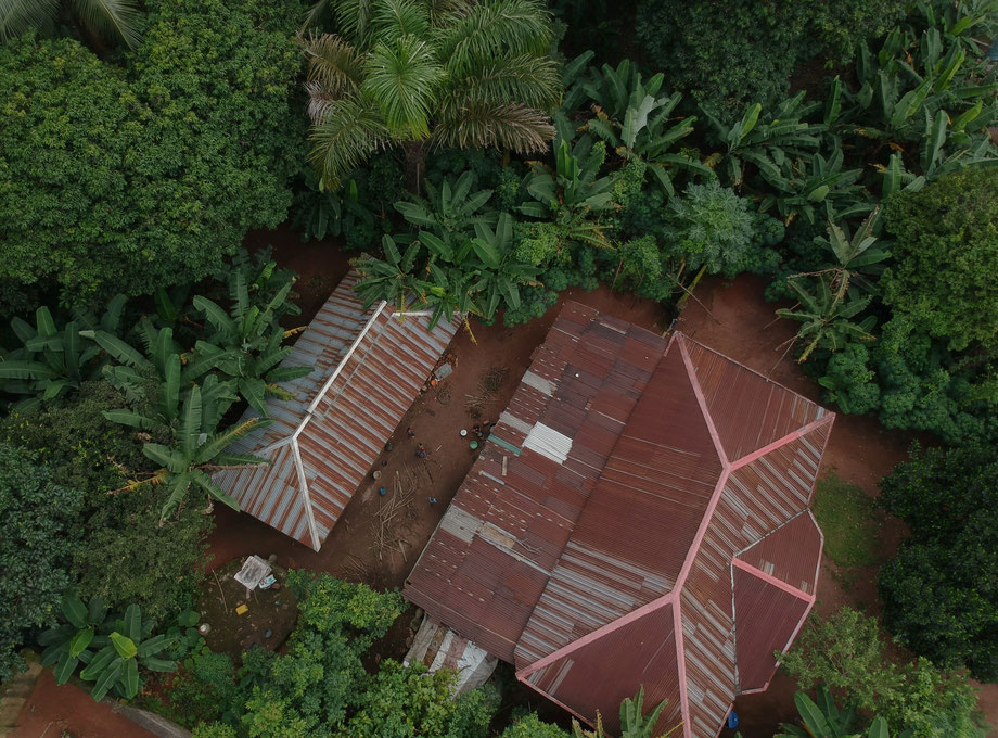 housing in a forest threatened by African deforestation