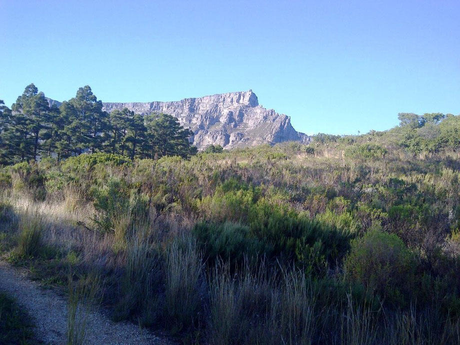 a different perspective of Table Mountain
