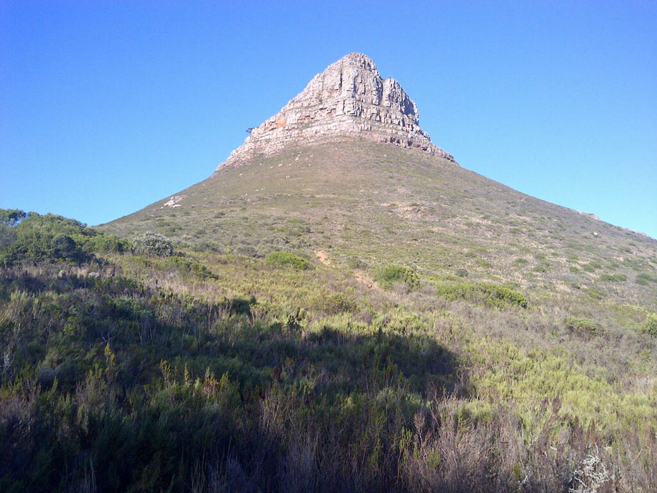 Lions Head