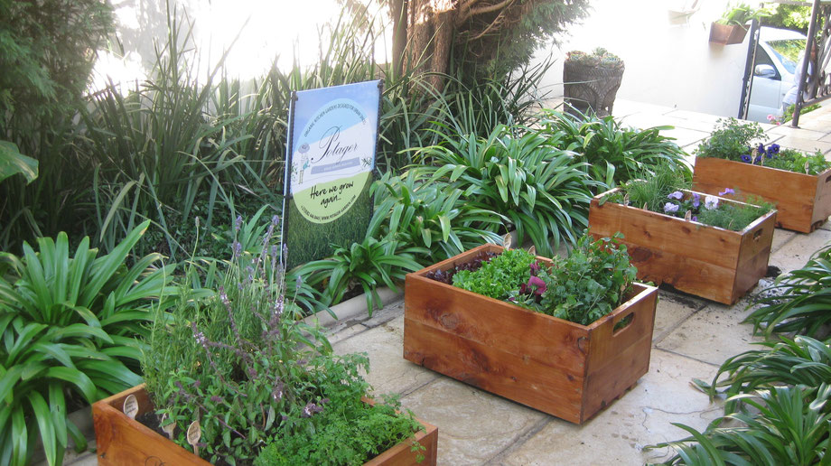 Potager Syrah Planters