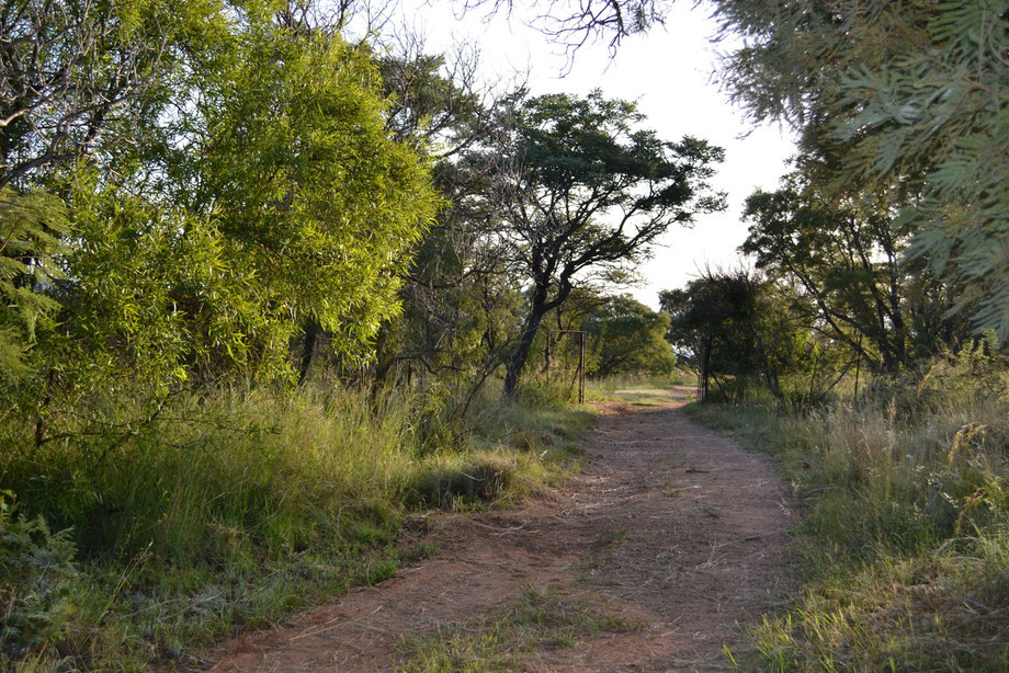 the road leading from the farmhouse