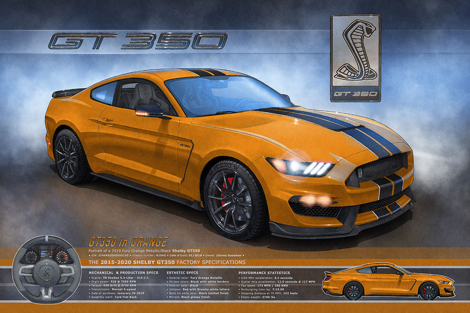 La Shelby GT350 2015 à 2020 avec ses couleurs ajoutées dans sa version 16X24 pouces telle que proposée à partir de 2023