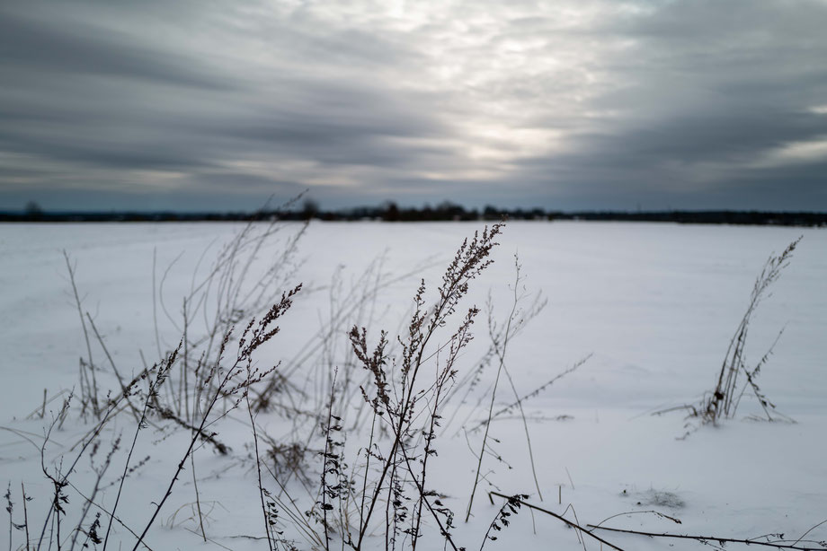 Schneelandschaft mit wunderschönem Unschärfeverlauf, aufgenommen mit der Leica Q2 und dem fest verbauten Summilux 28mm f1.7