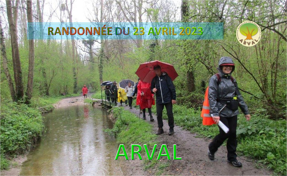 CLIQUER CI-DESSUS POUR VOIR TOUTES LES PHOTOS