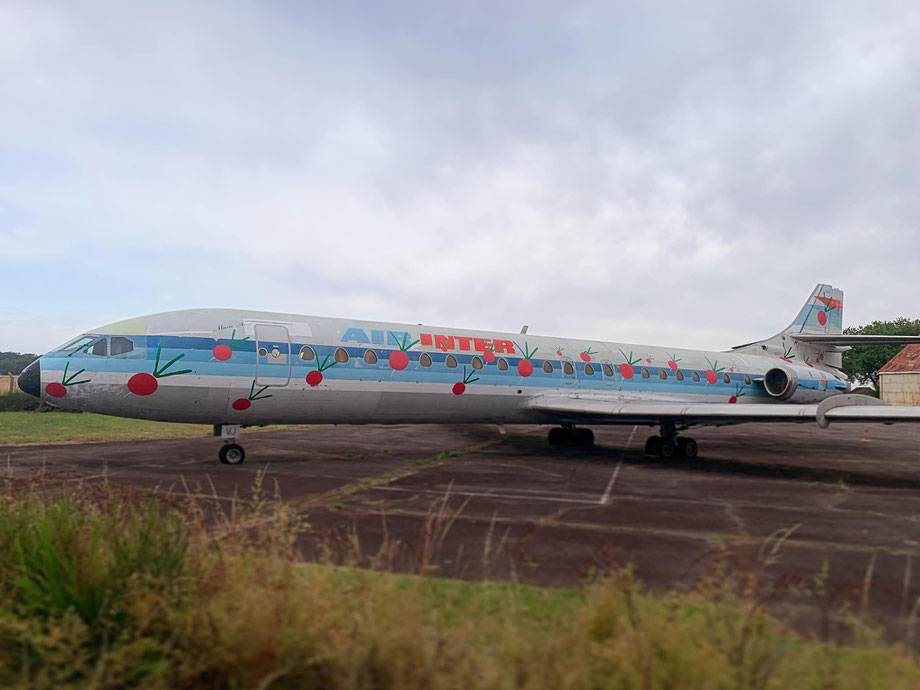 Visible de Juin à Octobre 2024 au cours de l'Exposition "Nos Radis ont des ailes" à l'aéroport de Rennes St Jacques.