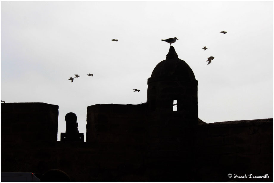 Maroc camping-car fourgon photo Franck Dassonville