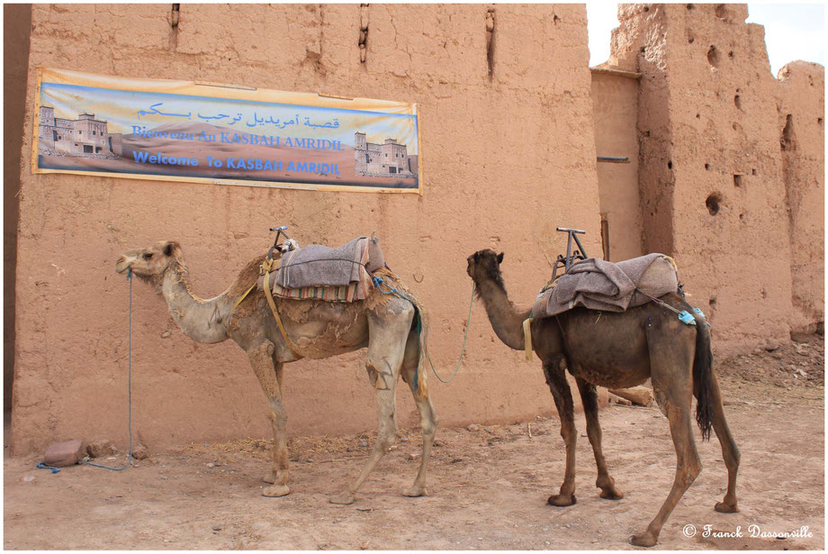 Maroc camping-car fourgon photo Franck Dassonville