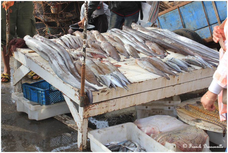 Maroc camping-car fourgon photo Franck Dassonville
