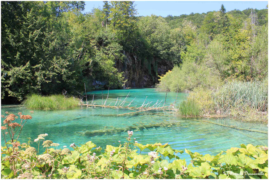 Croatie camping-car fourgon photo Franck Dassonville