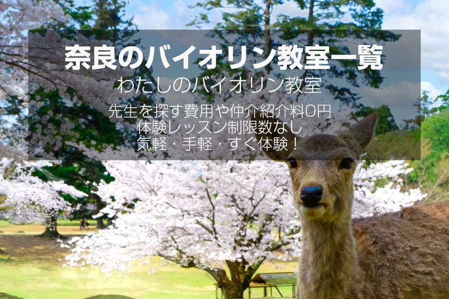 奈良のバイオリン教室一覧｜初心者から経験者まで対応・講師プロフィールで比較 