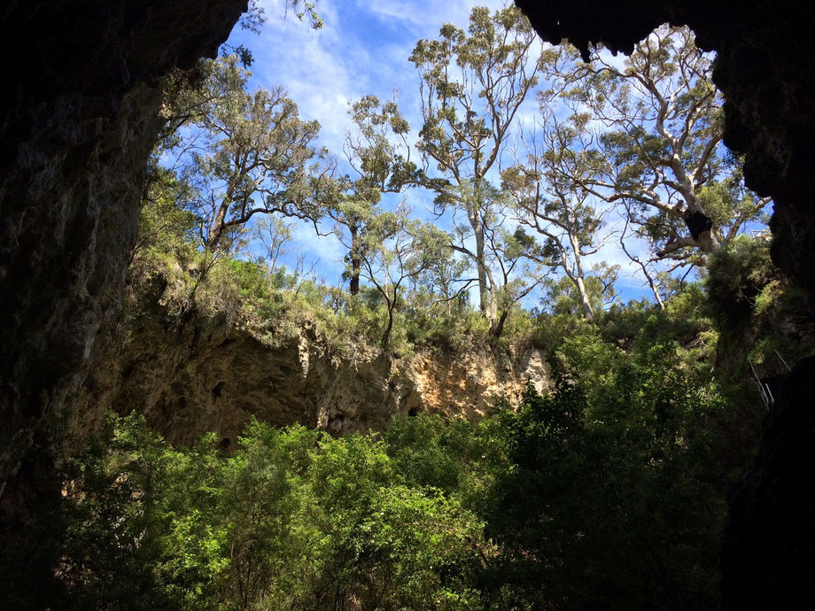 Blick beim Ausgang der Mammoth Höhle ins Freie