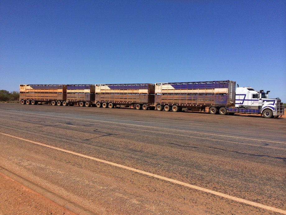 Road Train.....