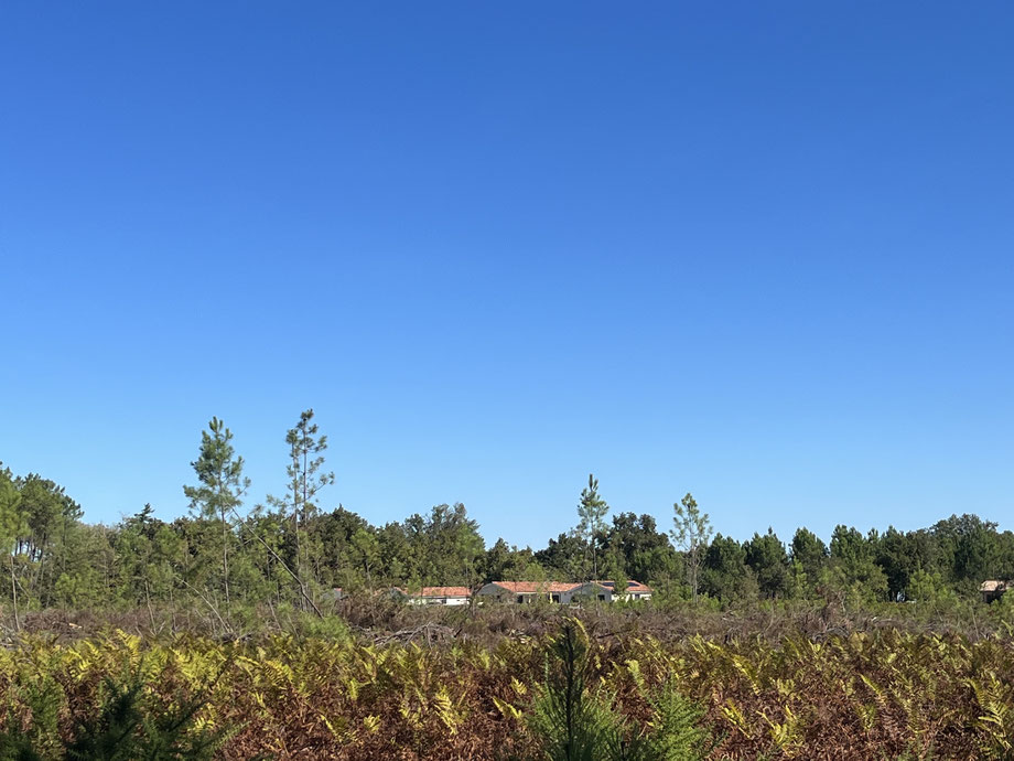 Les premières maisons à proximité de l'antenne-relais./Crédit photo Le Belinétois. 