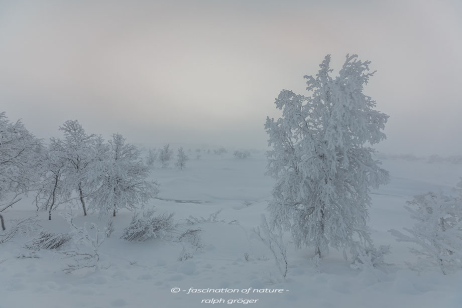 Ralph Gröger, rallephoto, www.rallephoto.jimdo.com, Alta, Norwegen, Nordlichter