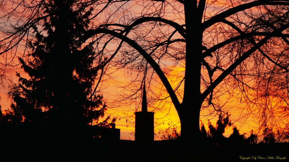 Sonnenaufgang, Kornfeld, Baum, Sonnenstrahlen, Wolken,