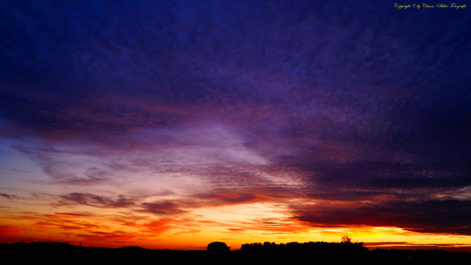 Sonnenaufgang, Kornfeld, Baum, Sonnenstrahlen, Wolken,