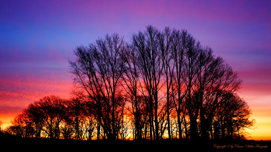  Clasen/Stiller Fotografie, Udo Clasen, Patrick Stiller, Nachtaufnahme, Abstrakte Fotos, Langzeitbelichtung, Sonnenaufgang, rot, grün, blau, orange, gold, abstrakte lichter, HDR, Düsseldorf, Duisburg, abstraktes, Kunst, Fotokunst, farbenspiel, Natur,