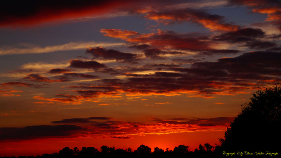 Sonnenaufgang, Kornfeld, Baum, Sonnenstrahlen, Wolken,