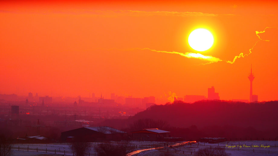 Clasen/Stiller Fotografie, Udo Clasen, Patrick Stiller, Nachtaufnahme, Langzeitbelichtung, Sonnenaufgang, Sonnenuntergang, rot, grün, blau, orange, gold, gelb, Pflanzen, Baum, Bäume, HDR, Düsseldorf, Duisburg, Natur, Tiere, Wolken, Wassertropfen, Vögel,