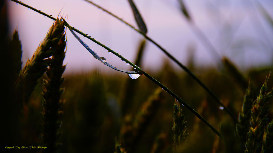 Wassertropfen