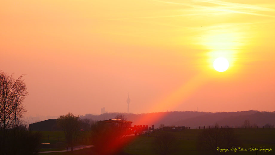 Sonnenaufgang, Kornfeld, Baum, Sonnenstrahlen, Wolken, Sonnenuntergang,