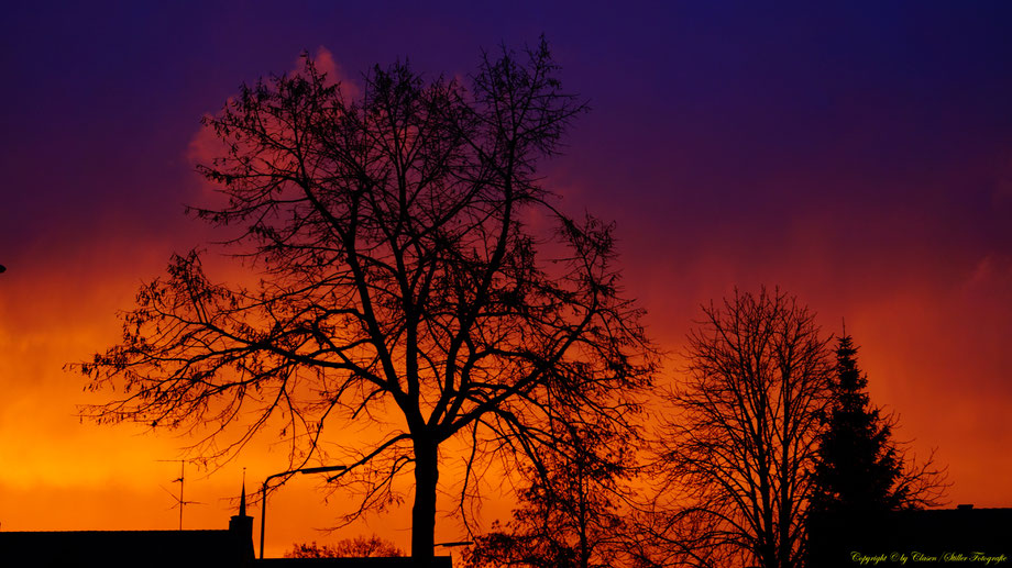 Sonnenaufgang, Kornfeld, Baum, Sonnenstrahlen, Wolken, Rhein,